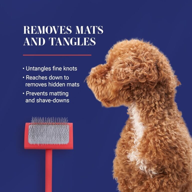 Side on view of a caramel coloured labradoodle alongside a CHRIS CHRISTENSEN BIG G SLICKER BRUSH