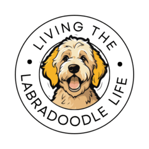Labradoodle Blog logo with a happy labradoodle face with writing in a circle around it that says Living the Labradoodle Life