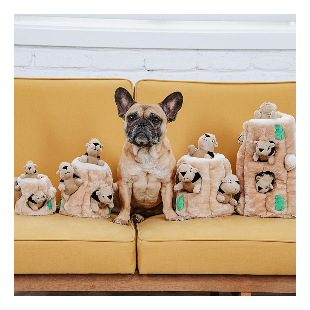 Dog sitting on couch surrounded by Squirrel toys